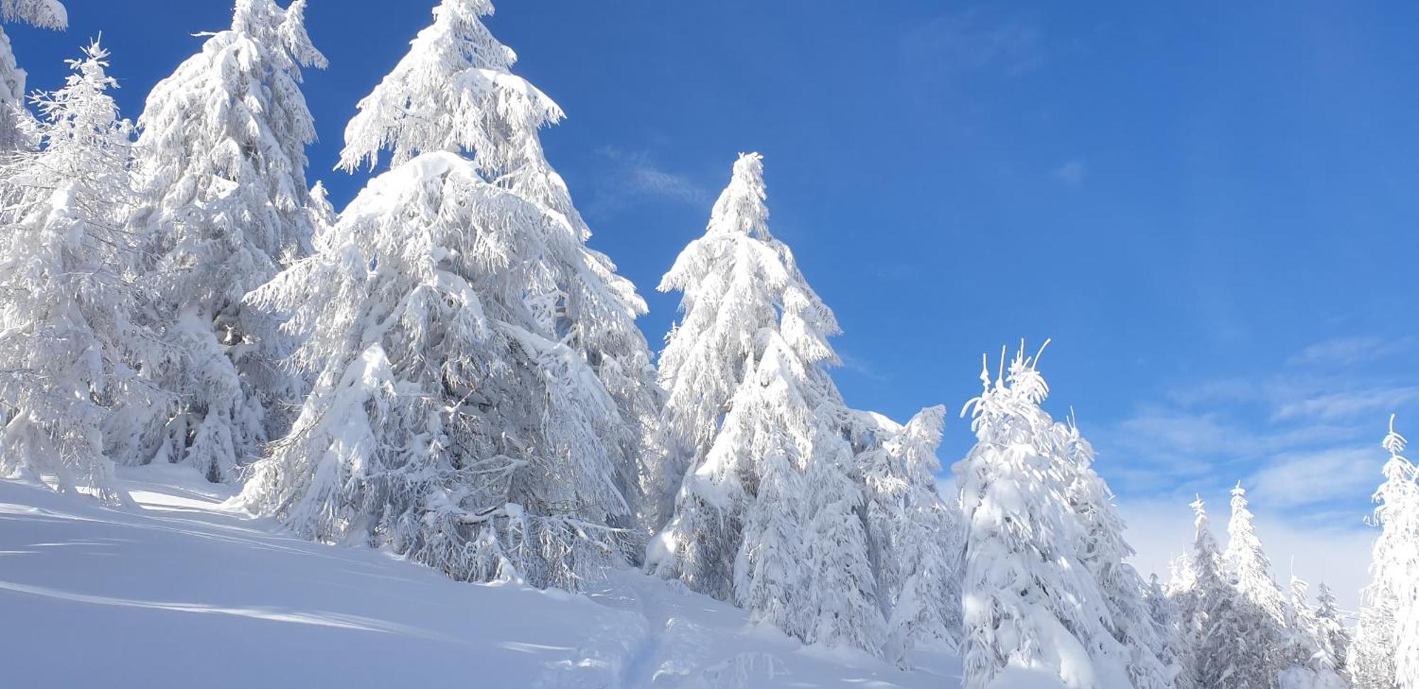 Hotel Sonnenheim Bad Kleinkirchheim Bagian luar foto