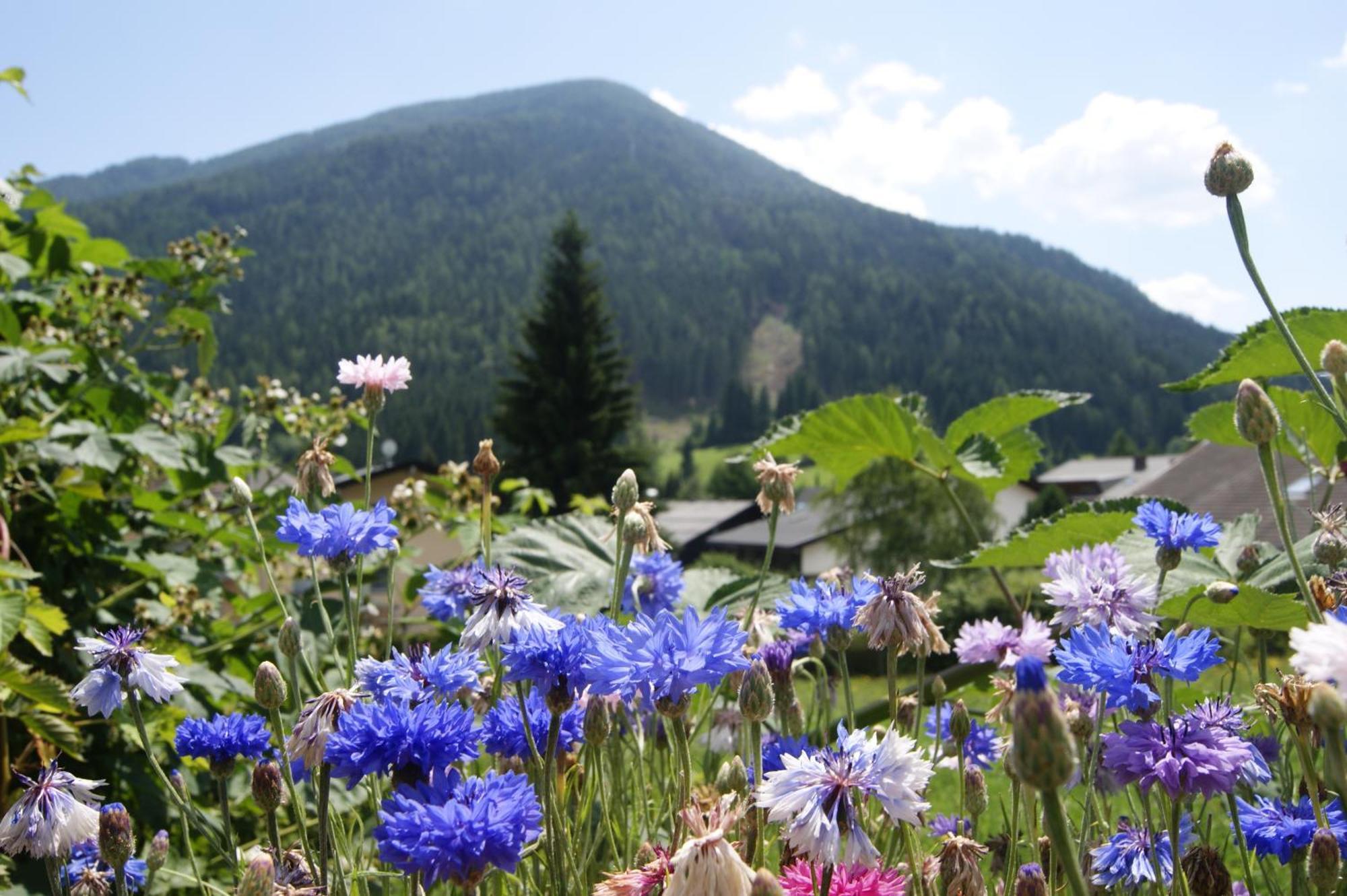 Hotel Sonnenheim Bad Kleinkirchheim Bagian luar foto